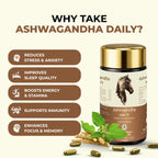 ASHWAGANDHA